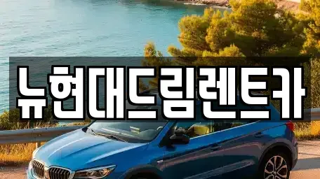 경기 성남시 분당구 율동 렌트카 전문 뉴현대드림렌트카