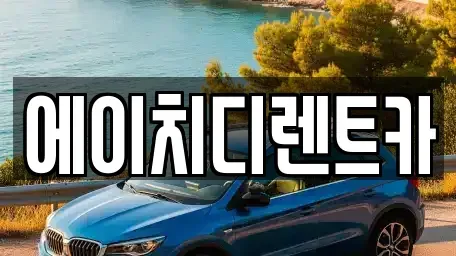경기 성남시 분당구 율동 렌트카 전문 에이치디렌트카