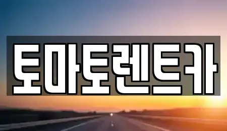경기 성남시 분당구 율동 렌트카 전문 토마토렌트카