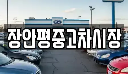 경기 성남시 분당구 율동 중고차매매 전문 장안평중고차시장