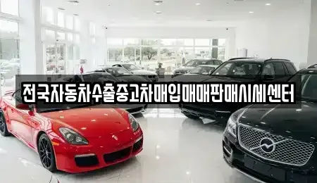 경기 성남시 분당구 율동 중고차매매 전문 전국자동차수출중고차매입매매판매시세센터
