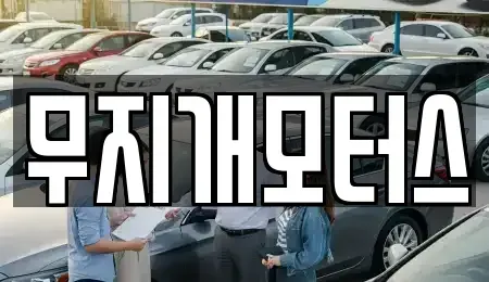 경기 성남시 분당구 중고차매매 전문 무지개모터스