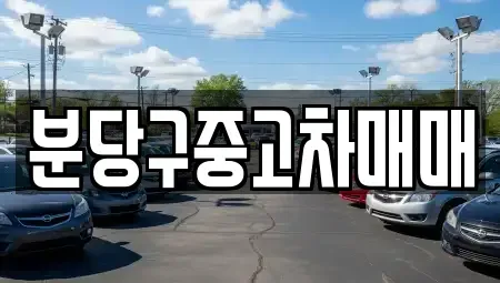 경기 성남시 분당구 중고차매매 전문 분당구중고차매매