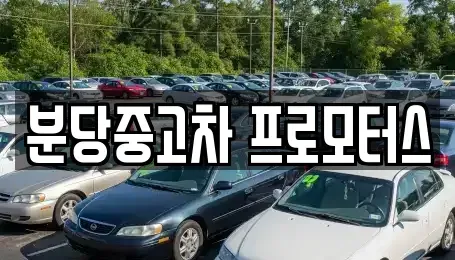 경기 성남시 분당구 중고차매매 전문 분당중고차 프로모터스