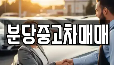 경기 성남시 분당구 중고차매매 전문 분당중고차매매