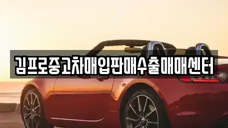 경기 성남시 분당구 중고차매입 전문 김프로중고차매입판매수출매매센터