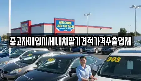 경기 성남시 분당구 중고차매입 전문 중고차매입시세내차팔기견적가격수출업체