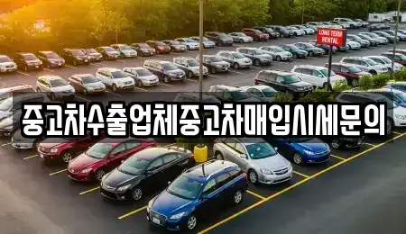 경기 성남시 분당구 중고차매입 전문 중고차수출업체중고차매입시세문의