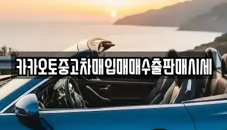 경기 성남시 분당구 중고차매입 전문 카카오토중고차매입매매수출판매시세