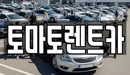 경기 성남시 분당구 판교동 렌트카 전문 토마토렌트카
