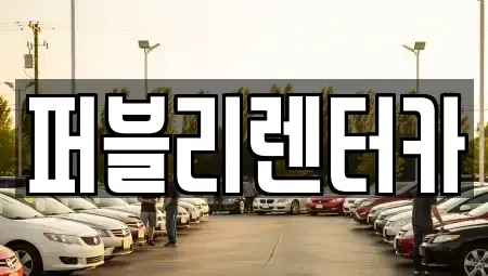 경기 성남시 분당구 판교동 렌트카 전문 퍼블리렌터카