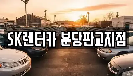 경기 성남시 분당구 판교동 장기렌트카 전문 SK렌터카 분당판교지점