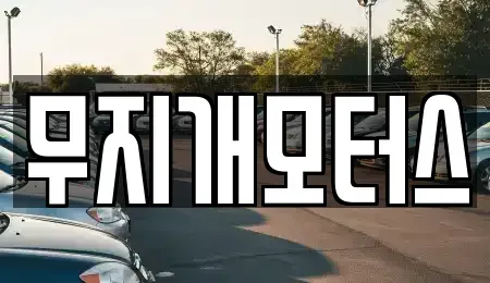 경기 성남시 분당구 판교동 중고차 전문 무지개모터스
