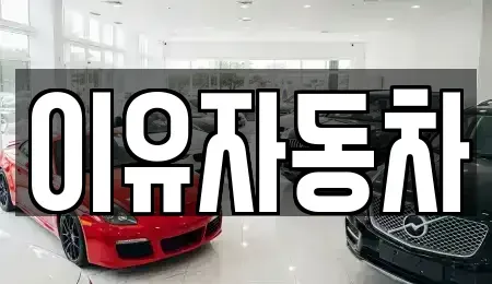 경기 성남시 분당구 판교동 중고차 전문 이유자동차