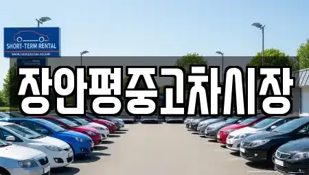 경기 성남시 분당구 판교동 중고차 전문 장안평중고차시장