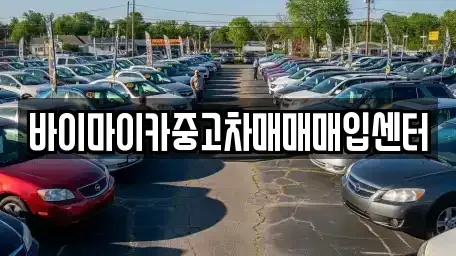 경기 성남시 분당구 판교동 중고차매입 전문 바이마이카중고차매매매입센터