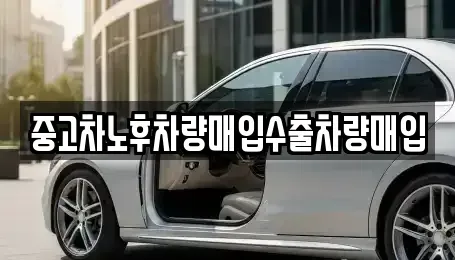 경기 성남시 분당구 판교동 중고차매입 전문 중고차노후차량매입수출차량매입