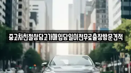 경기 성남시 분당구 판교동 중고차매입 전문 중고차친절상담고가매입당일이전무료출장방문견적
