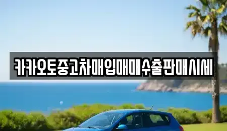 경기 성남시 분당구 판교동 중고차매입 전문 카카오토중고차매입매매수출판매시세