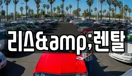 경기 수원시 영통구 장기렌트카 전문 리스&렌탈