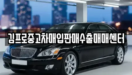경기 수원시 영통구 중고차매입 전문 김프로중고차매입판매수출매매센터