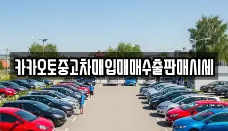 경기 수원시 영통구 중고차매입 전문 카카오토중고차매입매매수출판매시세