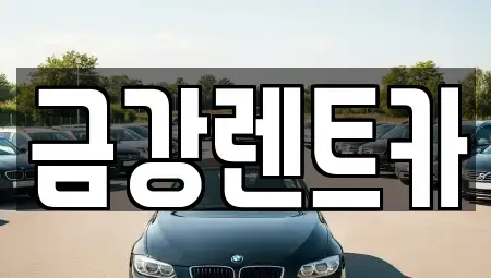 경기 수원시 장안구 율전동 렌트카 전문 금강렌트카