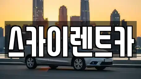 경기 수원시 장안구 율전동 장기렌트카 전문 스카이렌트카