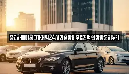 경기 시흥시 죽율동 중고차 전문 중고차매매최고가매입24시간출장비무료견적현장방문지누카
