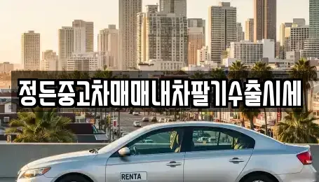 경기 양주시 장흥면 중고차 전문 정든중고차매매내차팔기수출시세