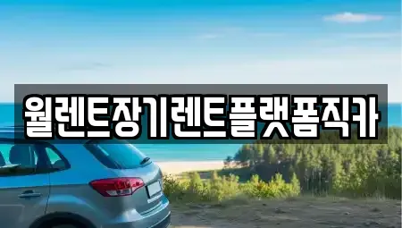 경기 용인시 처인구 마평동 장기렌트카 전문 월렌트장기렌트플랫폼직카