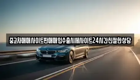 경기 용인시 처인구 마평동 중고차 전문 중고차매매사이트판매매입수출시세사이트24시간친절한상담