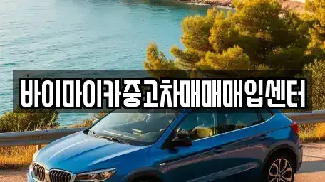 경기 용인시 처인구 마평동 중고차매입 전문 바이마이카중고차매매매입센터