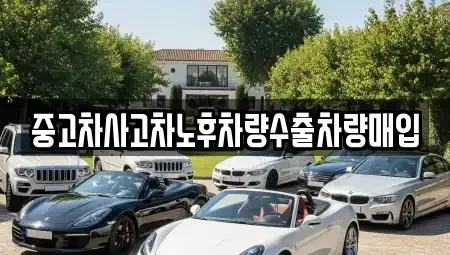 경기 용인시 처인구 마평동 중고차매입 전문 중고차사고차노후차량수출차량매입