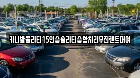 경기 용인시 처인구 삼가동 렌트카 전문 카니발쏠라티15인승솔라티승합차리무진렌트대여
