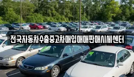 경기 용인시 처인구 삼가동 중고차 전문 전국자동차수출중고차매입매매판매시세센터