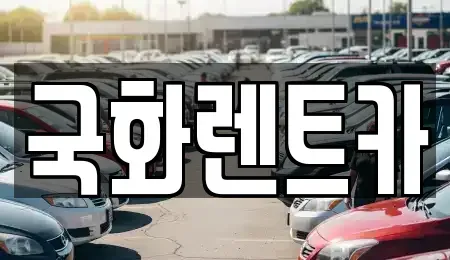 경기 의정부시 장암동 렌트카 전문 국화렌트카