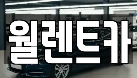 경기 의정부시 장암동 렌트카,단기렌트카,장기렌트카,중고차,중고차매매,중고차매입
