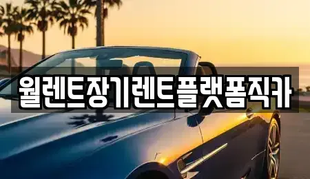 경기 의정부시 장암동 장기렌트카 전문 월렌트장기렌트플랫폼직카