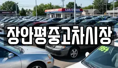 경기 의정부시 장암동 중고차 전문 장안평중고차시장