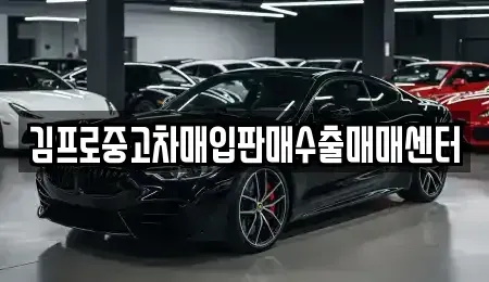 경기 의정부시 장암동 중고차매입 전문 김프로중고차매입판매수출매매센터