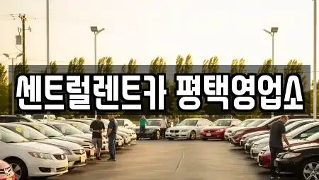 경기 평택시 세교동 단기렌트카 전문 센트럴렌트카 평택영업소