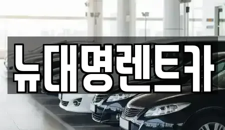 경기 평택시 세교동 렌트카 전문 뉴대명렌트카