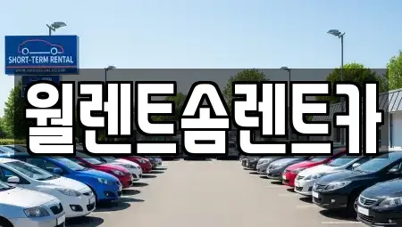 경기 평택시 세교동 렌트카 전문 월렌트솜렌트카