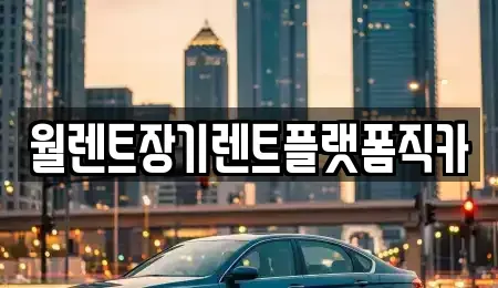 경기 평택시 세교동 렌트카 전문 월렌트장기렌트플랫폼직카