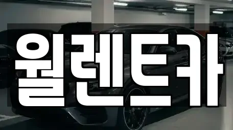 경기 평택시 세교동 렌트카 전문 월렌트카