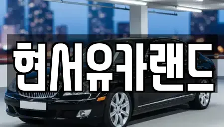 경기 평택시 세교동 중고차매매 전문 현서유카랜드