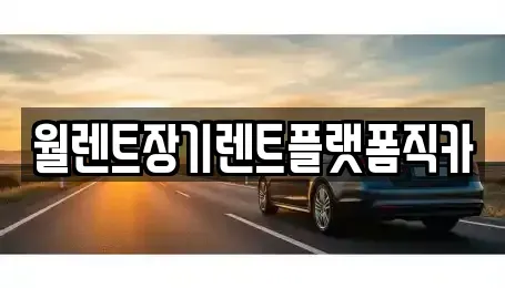 경기 포천시 소흘읍 장기렌트카 전문 월렌트장기렌트플랫폼직카