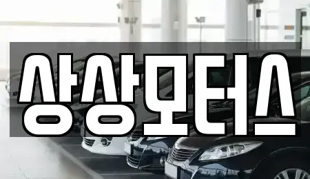 경기 포천시 소흘읍 중고차 전문 상상모터스
