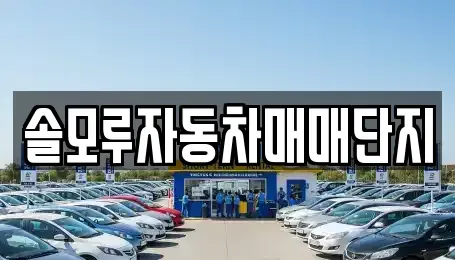경기 포천시 소흘읍 중고차매매 전문 솔모루자동차매매단지